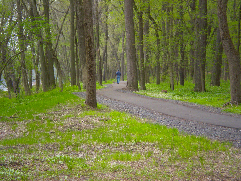 Test Track Park Hiking Path